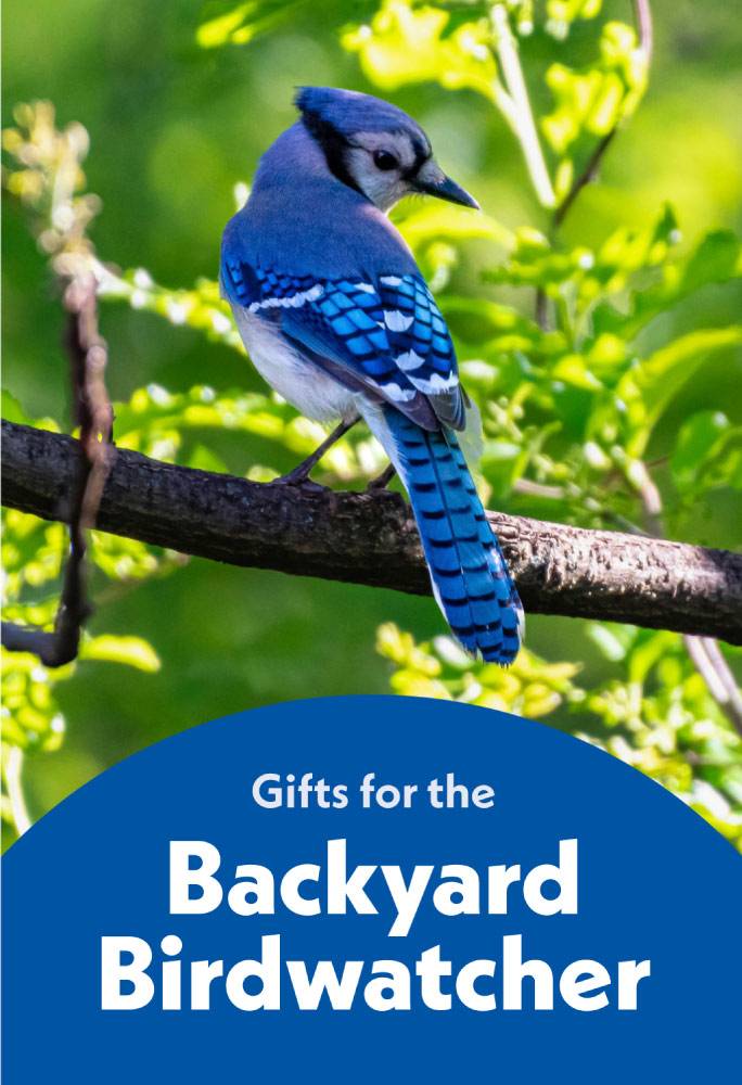 Gifts for the backyard birdwatcher