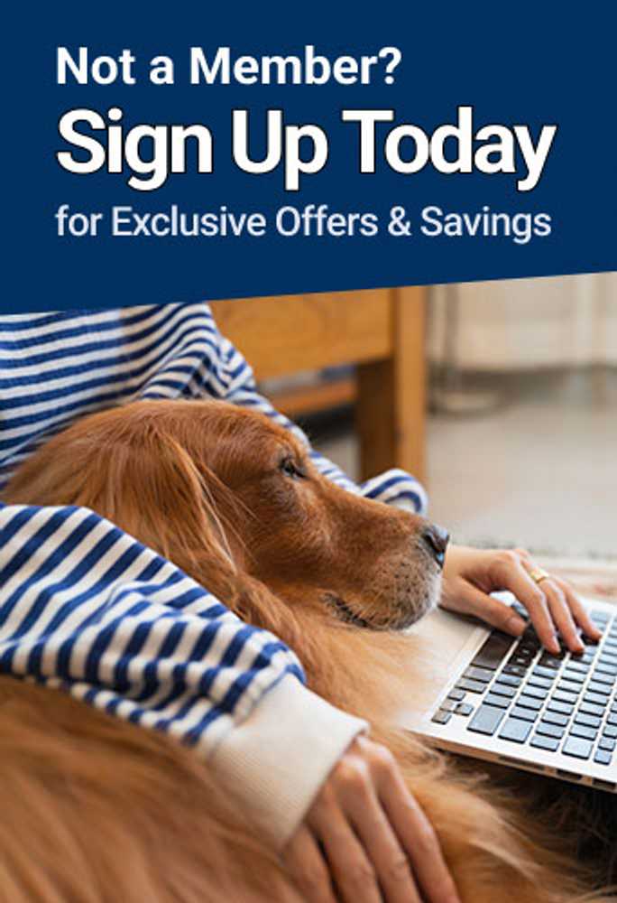 Join Blain's Rewards by signing up for an account today and start earning points.