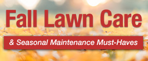 Fall Lawn Care