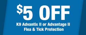 Flea and Tick Protection