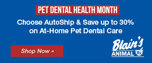 Save up to 30% on Pet Dental Care