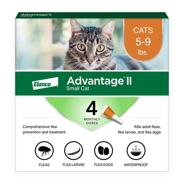 bayer cat flea medicine