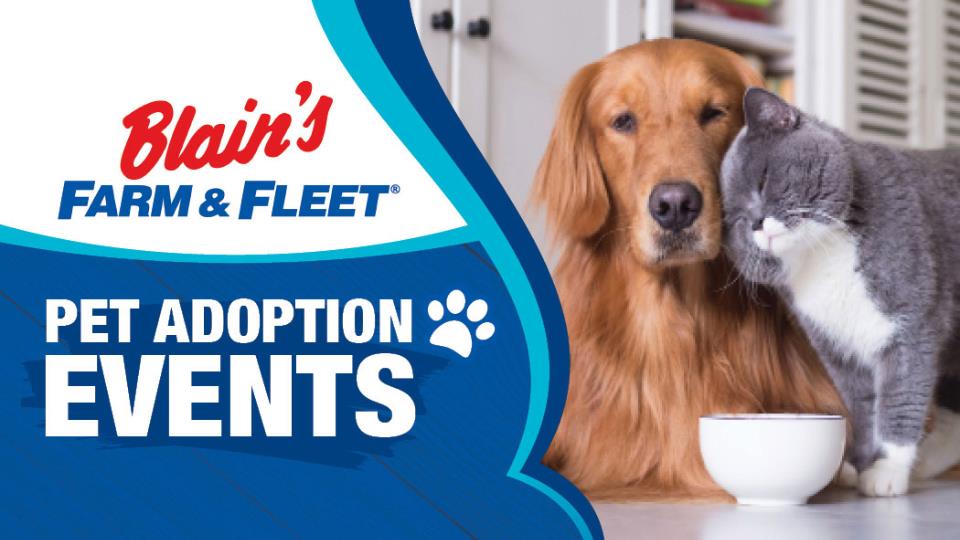 2019: Oak Creek Woof Gang Rescue Pet Adoption Event