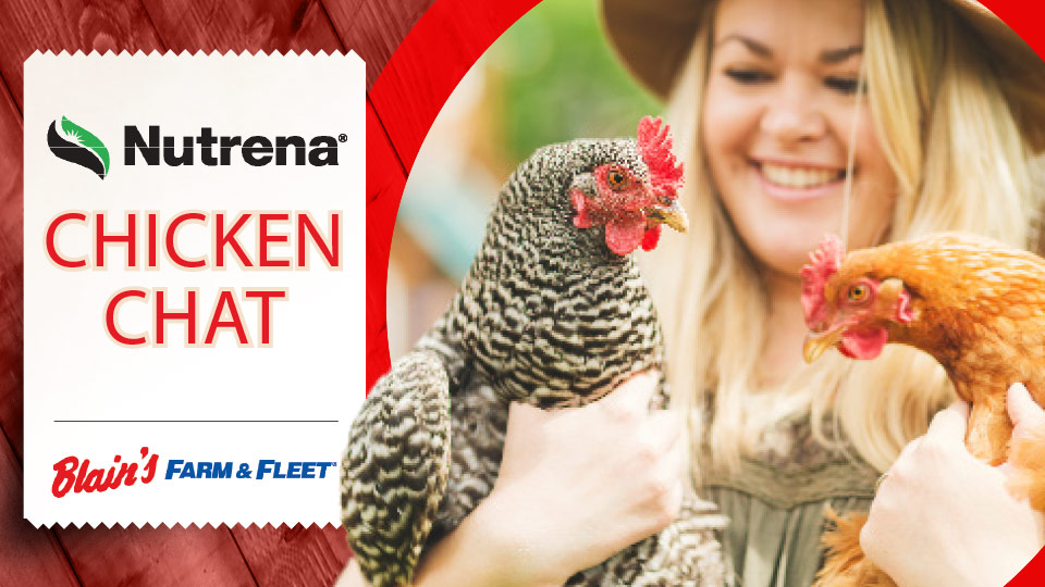 2019: Blain's Farm & Fleet Chicken Chat In-Store Seminar
